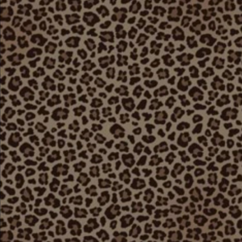 Meet your Posher, Audrina